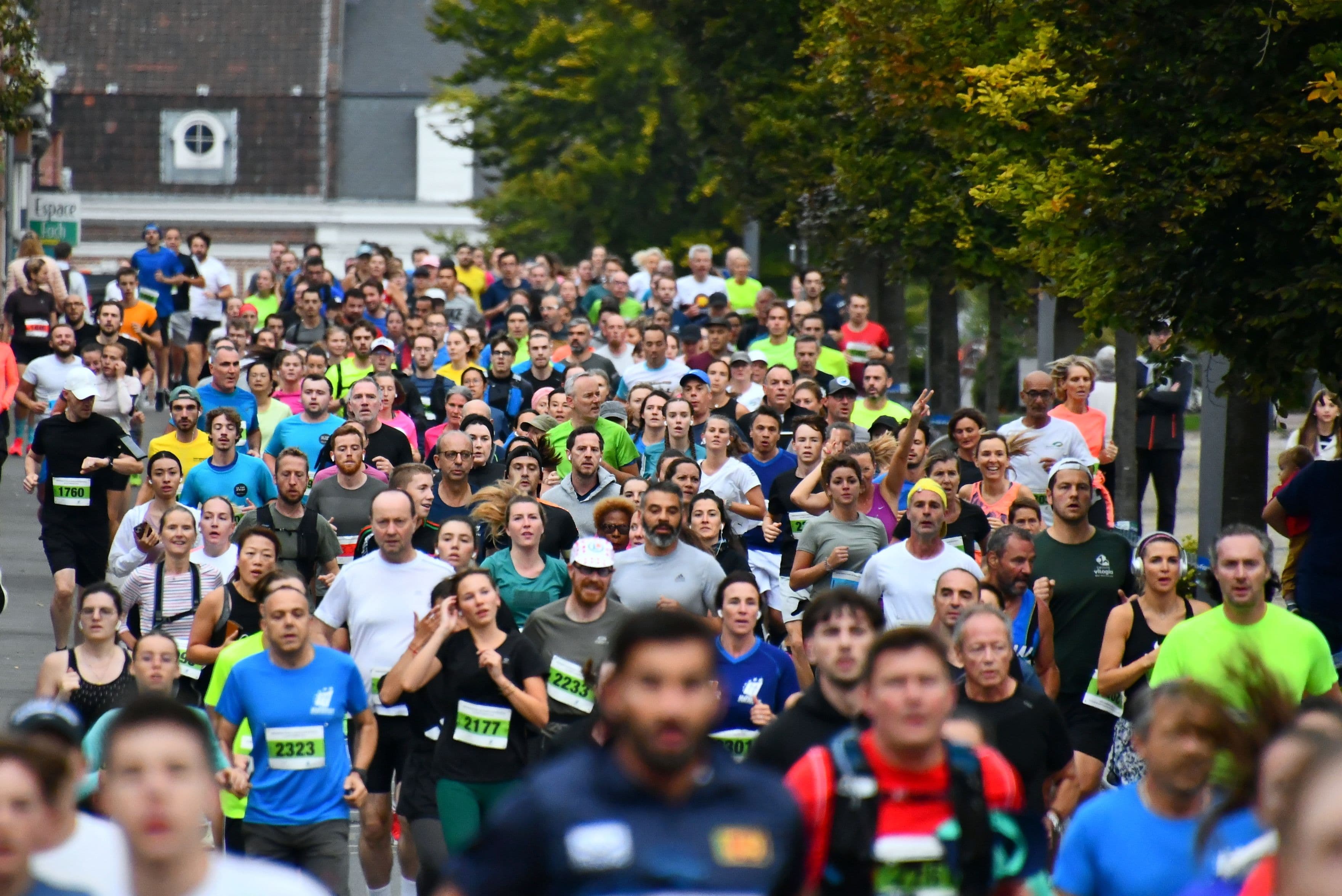 Semi-marathon de Marcq-en-Baroeul - image