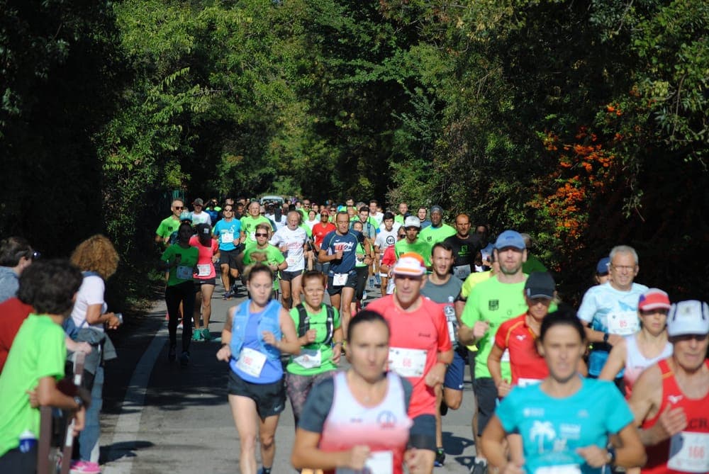 10 km Cité des papes - image