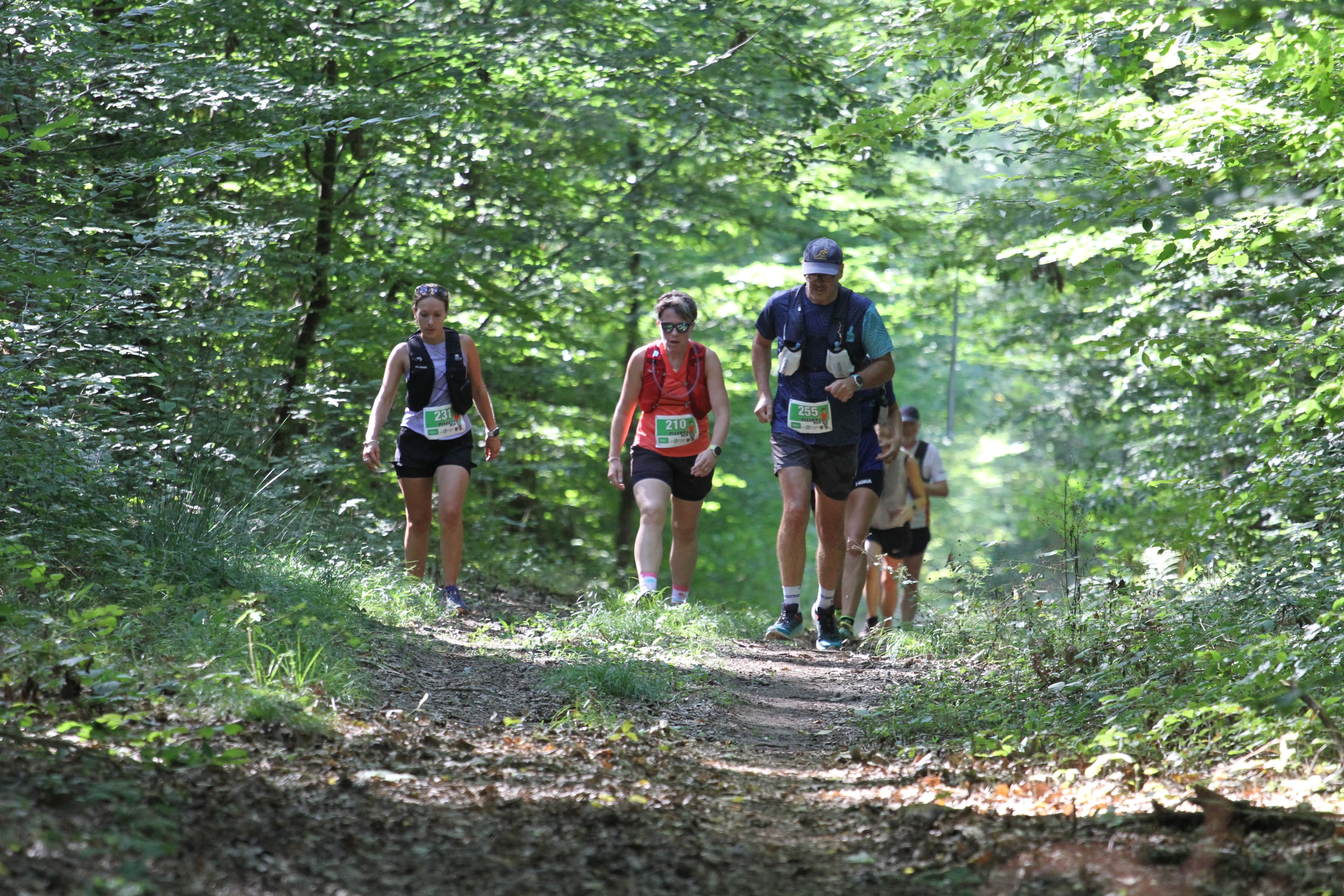 Trail Toulon court Diverti'Run - image