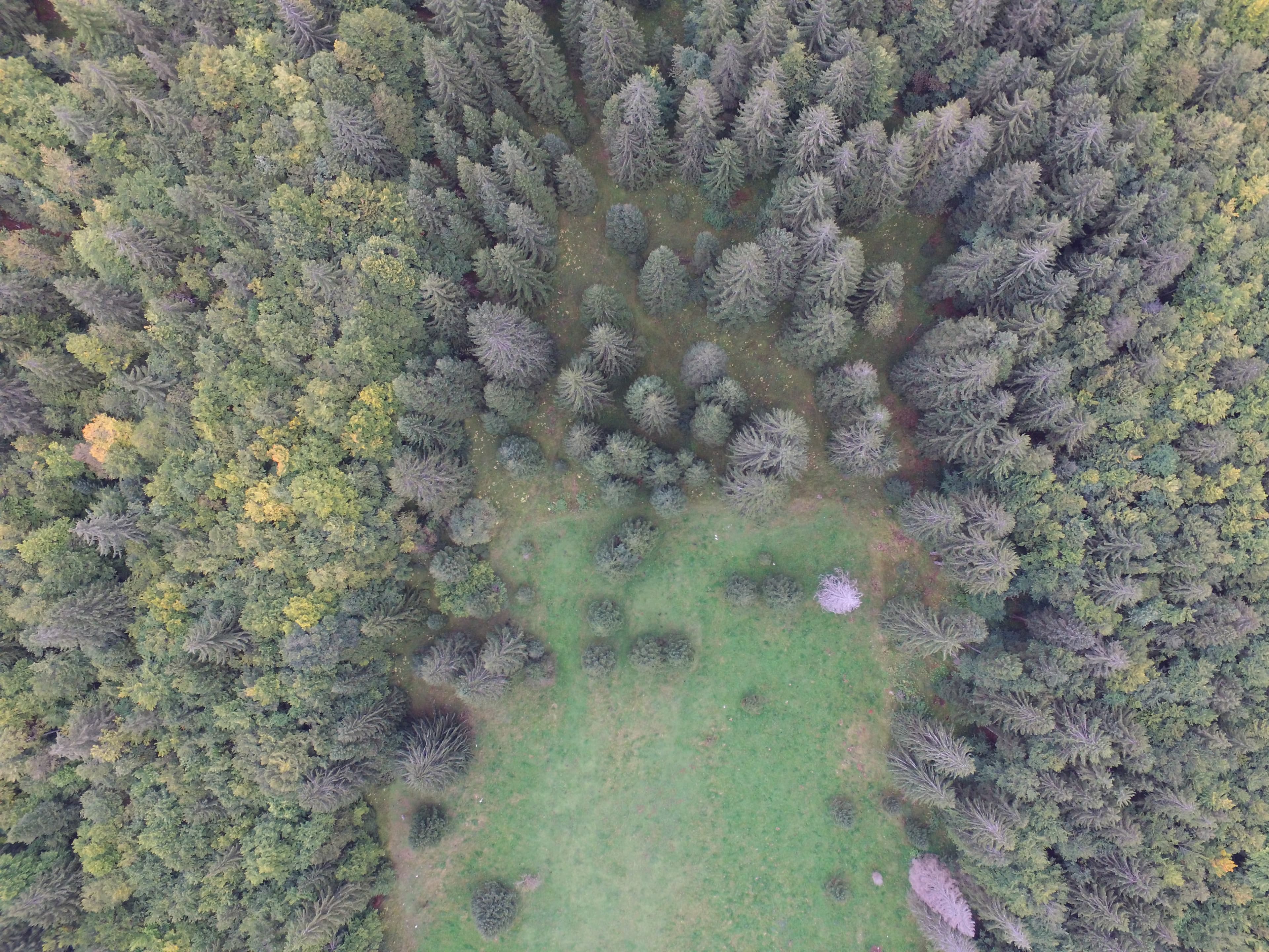 Duo trail les Crozets - image