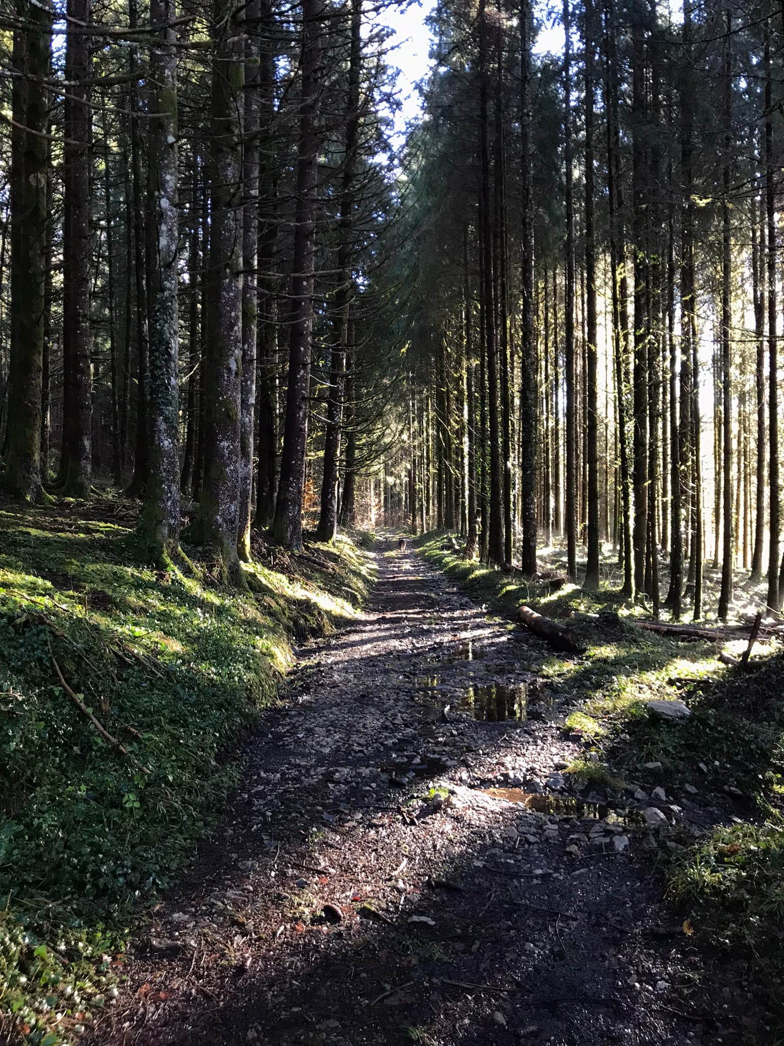 Duo trail les Crozets - image