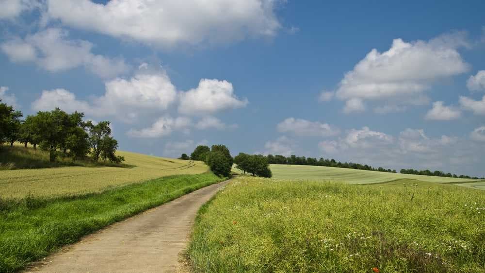 La wambrecitaine - image