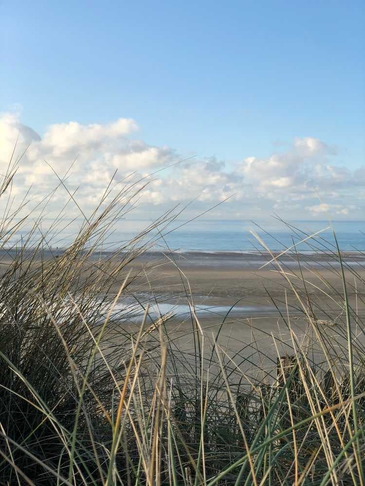 Trail des 3 forts - image