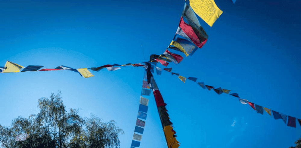 Sherpa trail - image