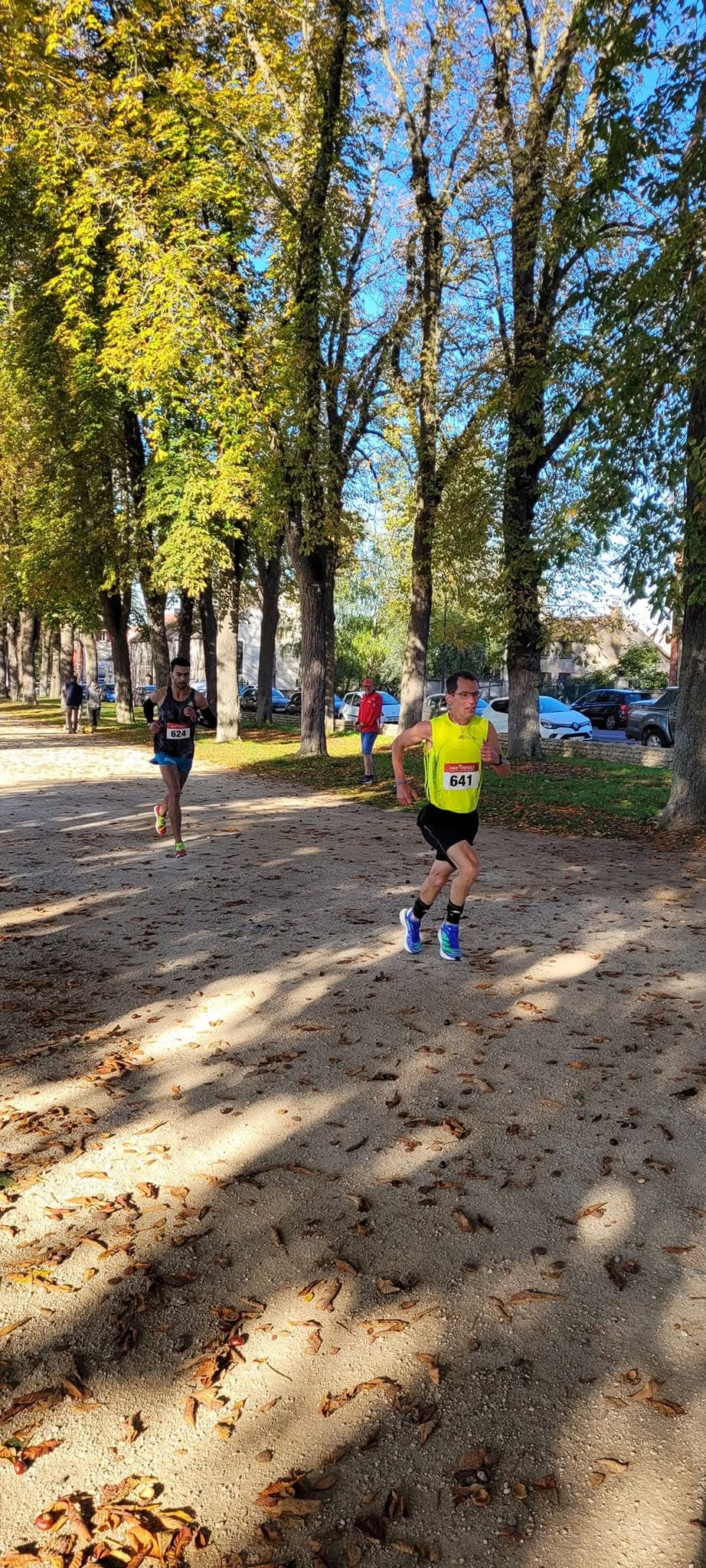 Les foulées d'automne - image