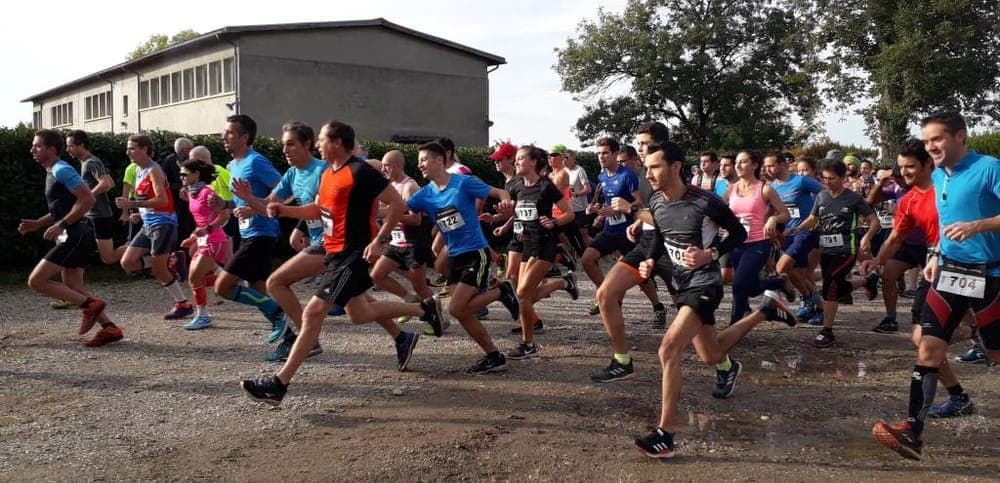 Fête des marrons - image