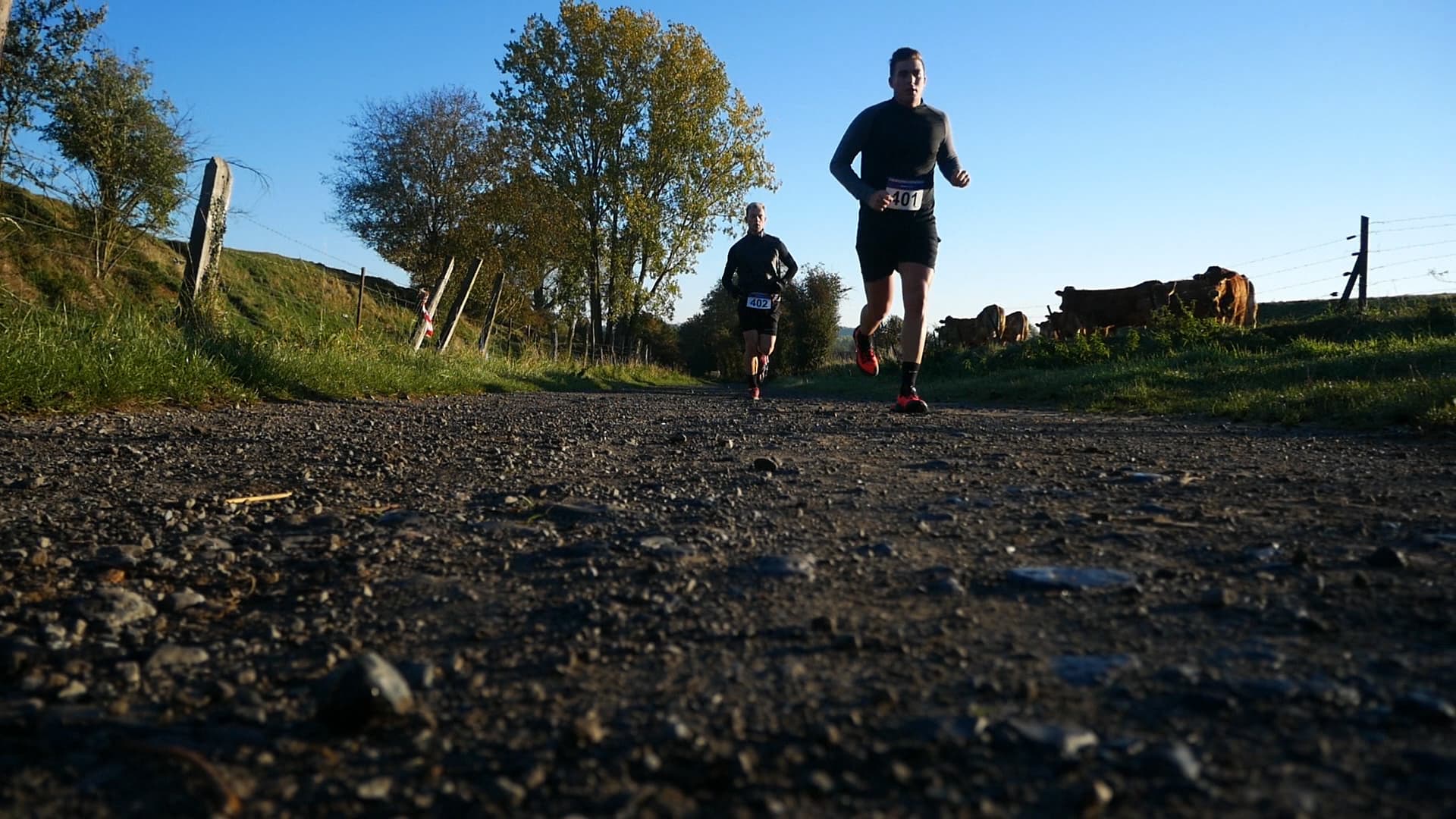 Trail des pipi-malo - Challenge Michel Williate - image