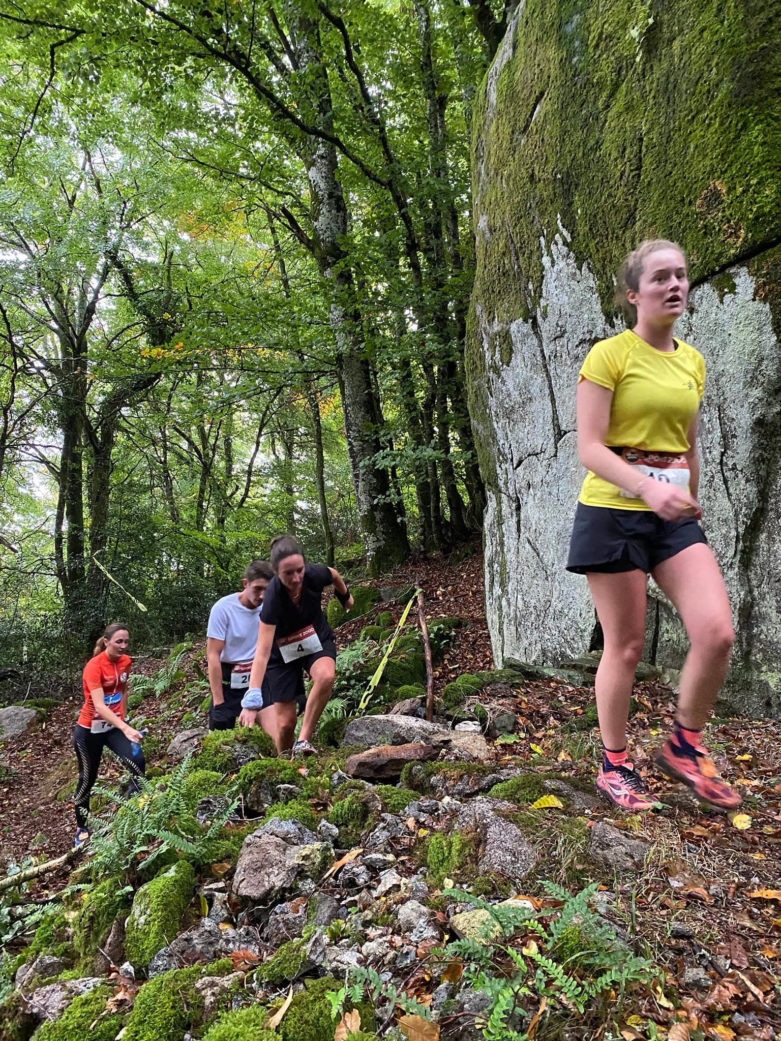 Trail des petits lutins - image