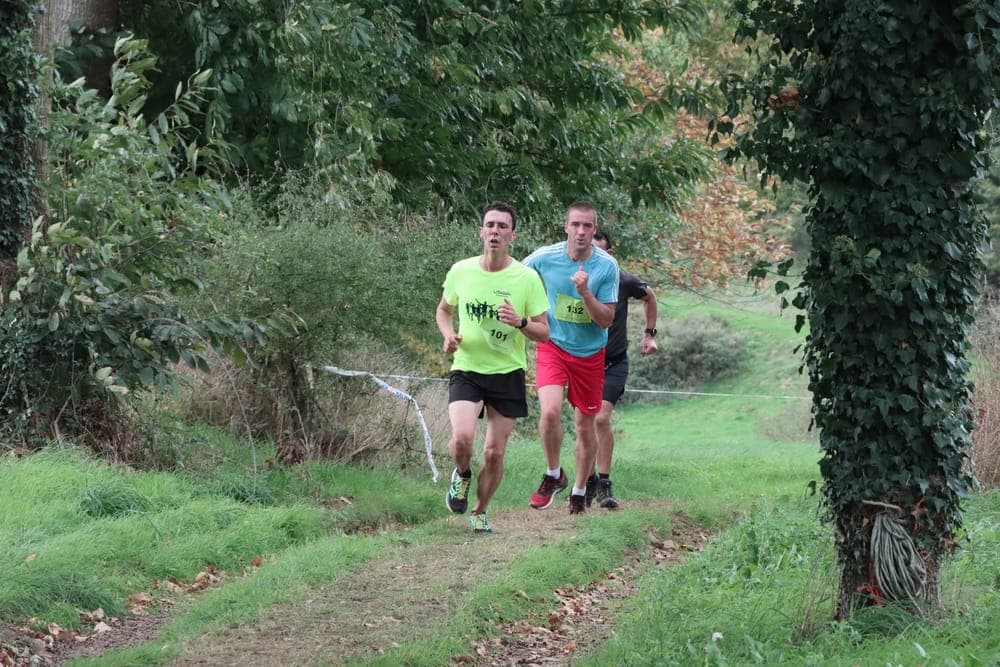 Les automnales - image