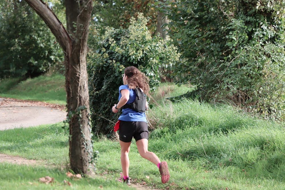 Les automnales - image