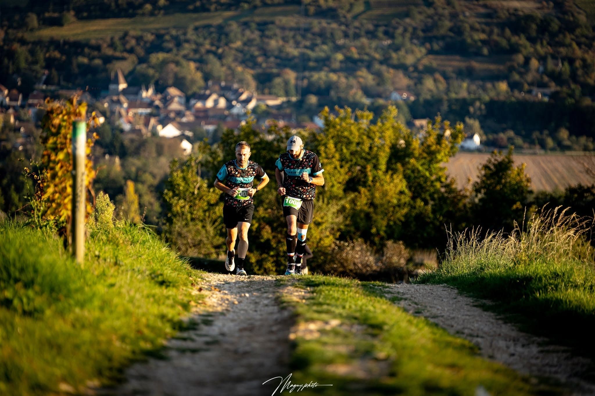 Trail du Montrachet - image 4