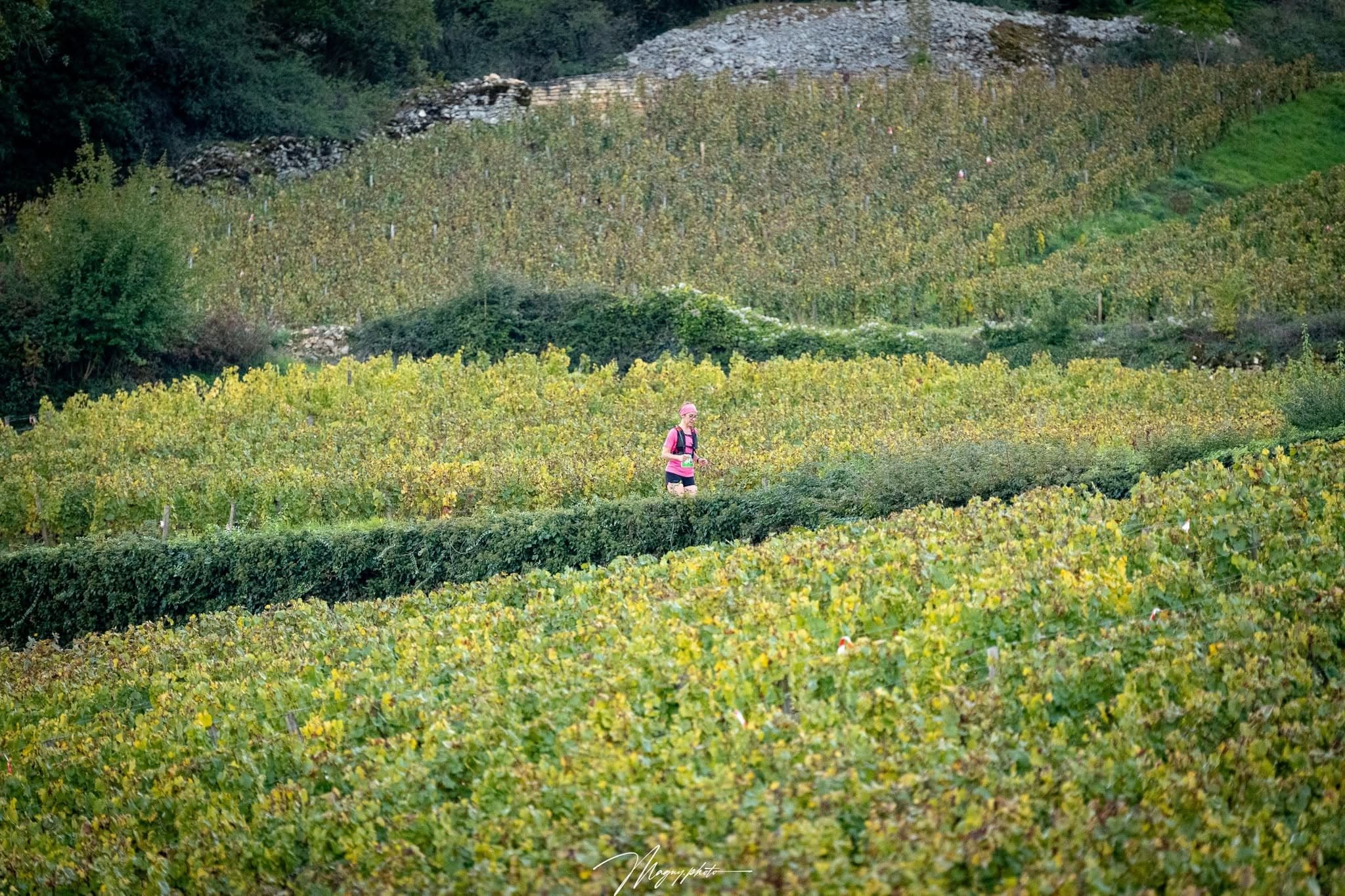 Trail du Montrachet - image 5