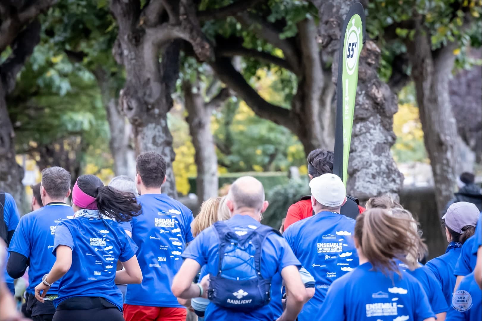 La courstache - image