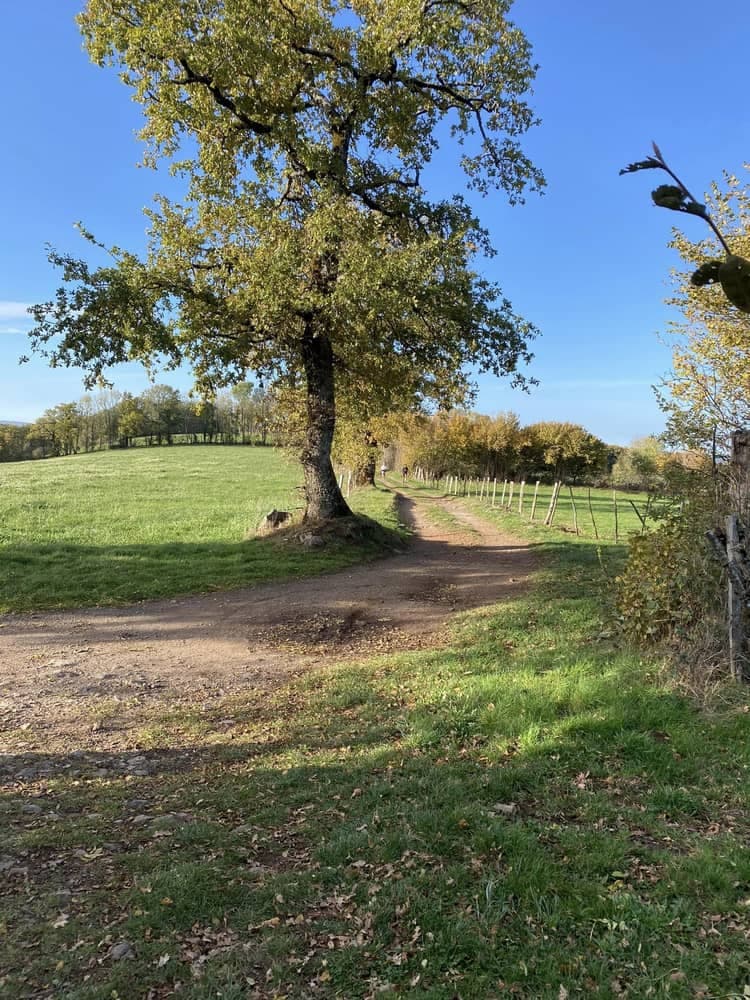 Trail de l'Authre tour - image