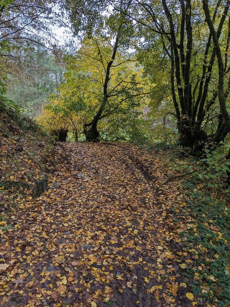 Trail des cuisses - image