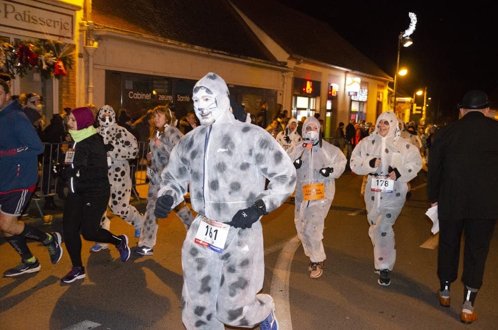 Corrida nordique - image