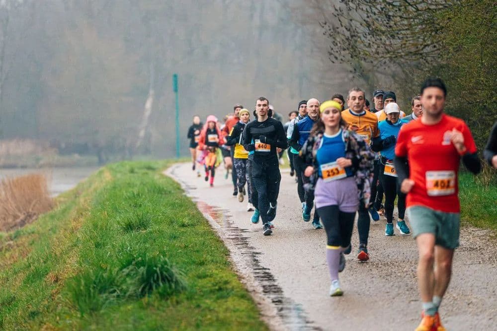 Corrida de Seurre - image