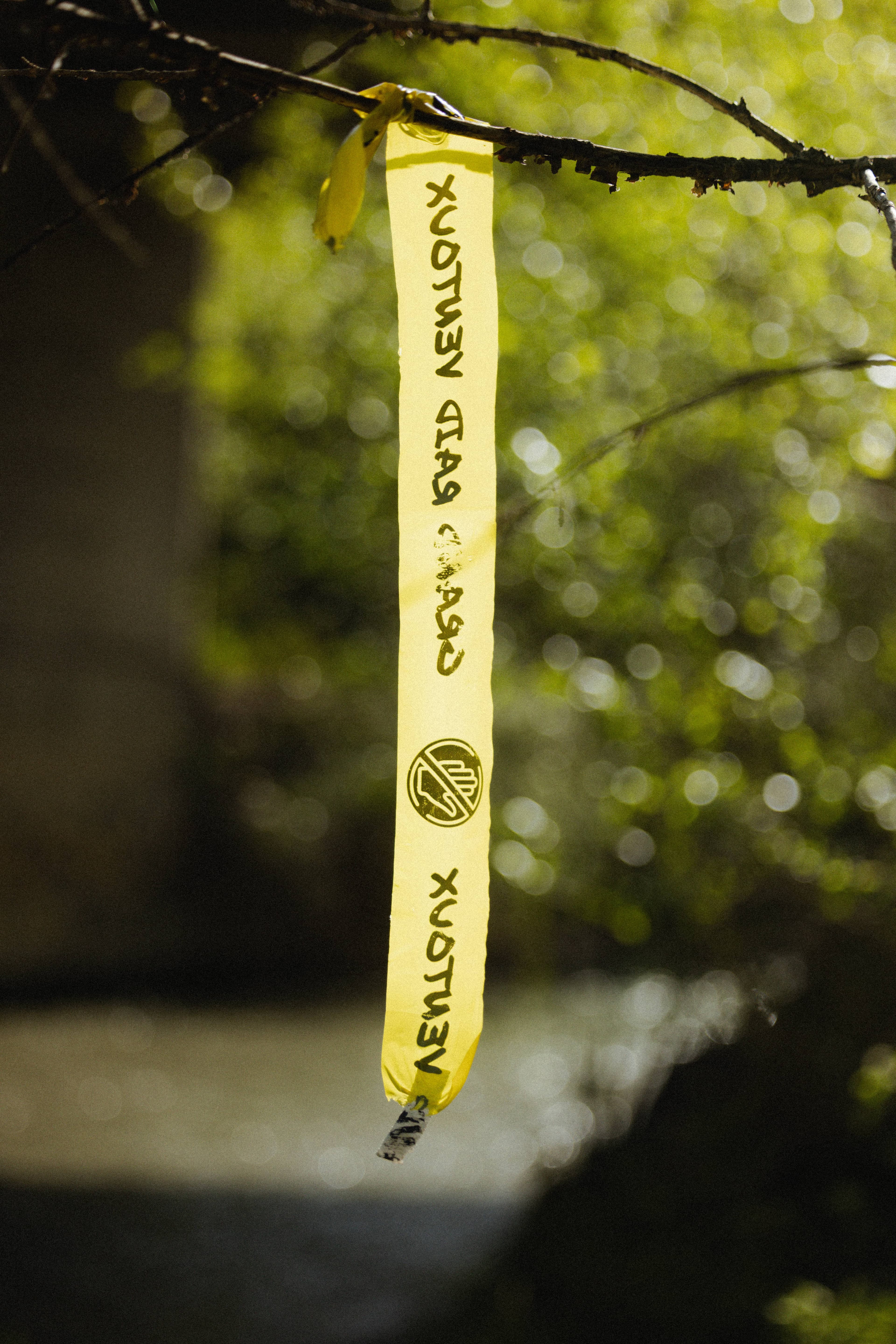 Grand Raid Ventoux by UTMB - image