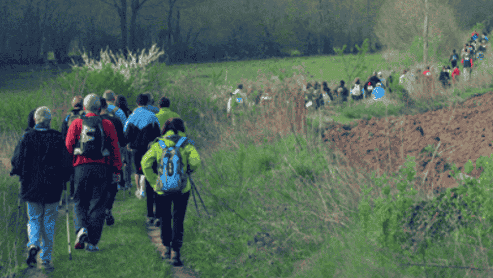 11 km de Contrevoz - image