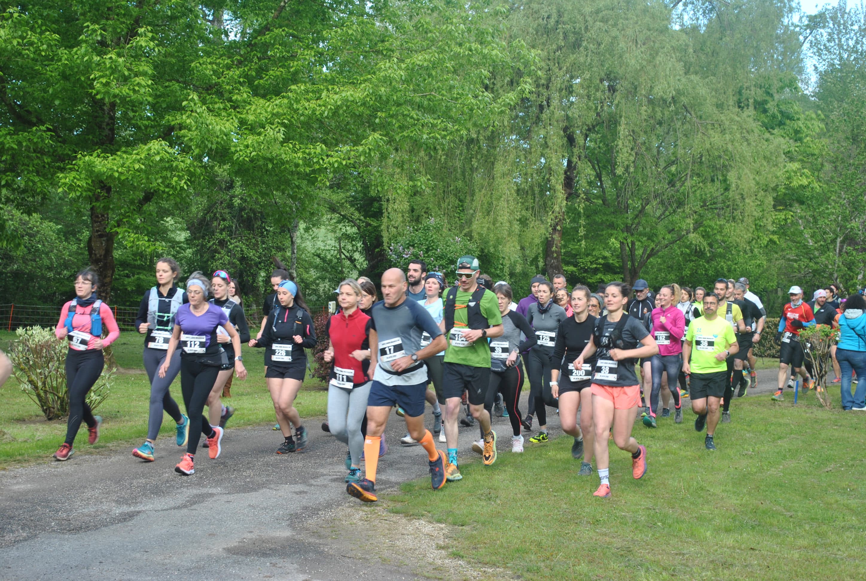 La chatvoyarde - image