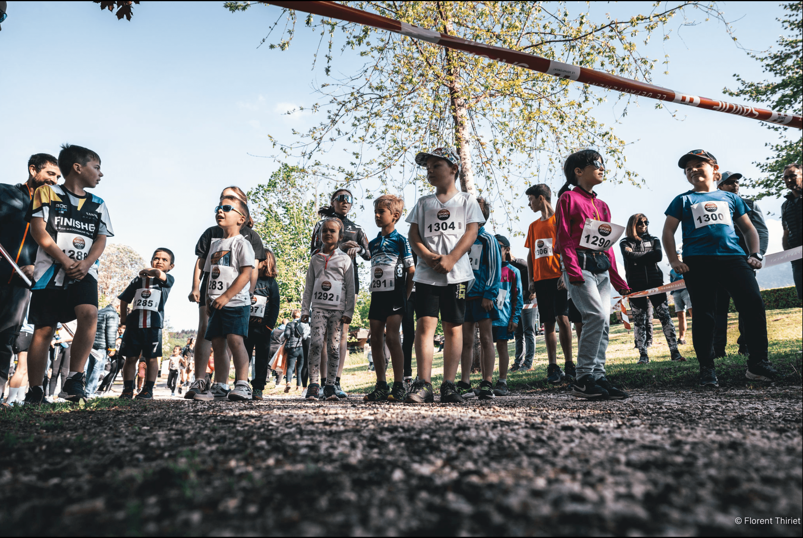 La chatvoyarde - image