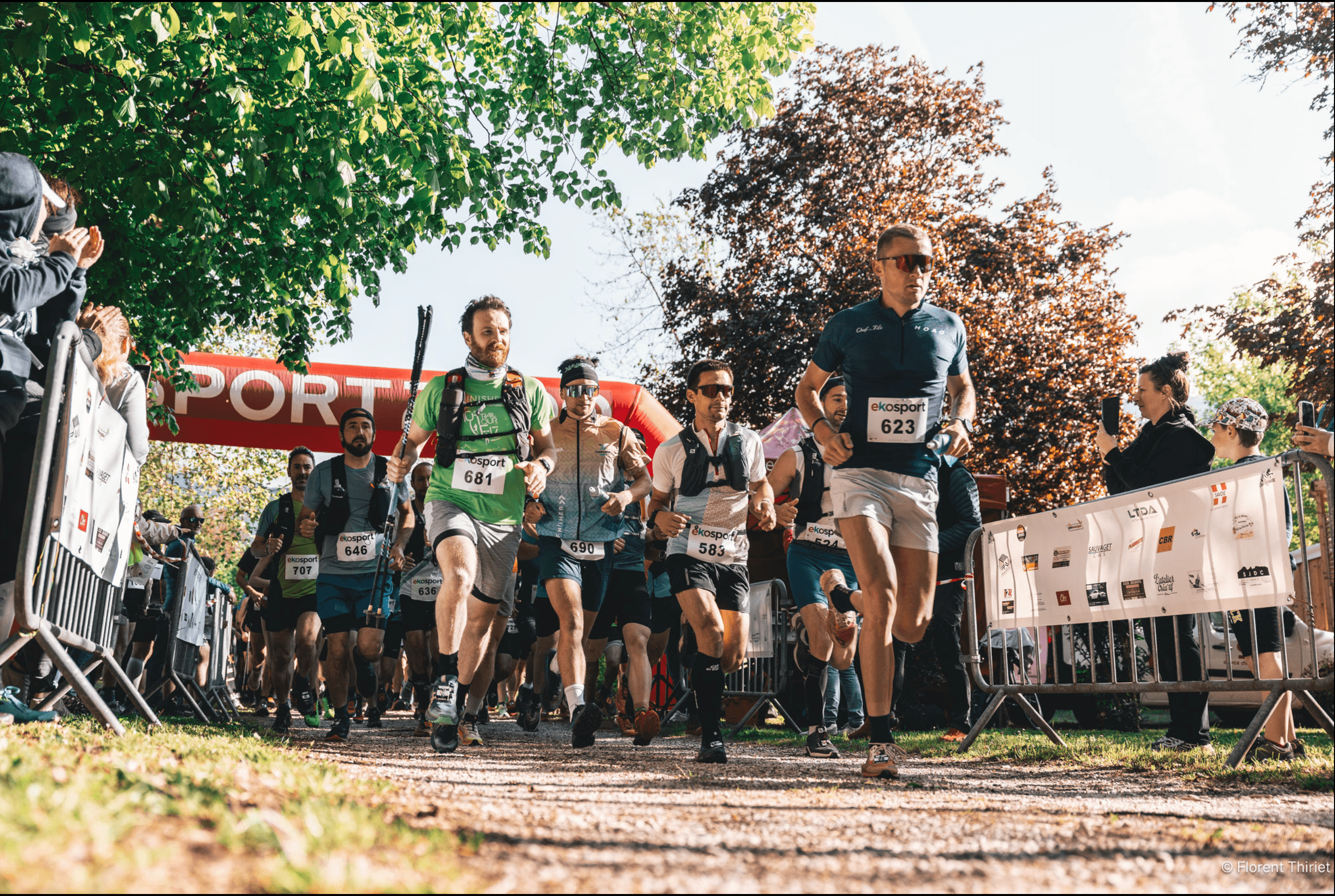 La chatvoyarde - image