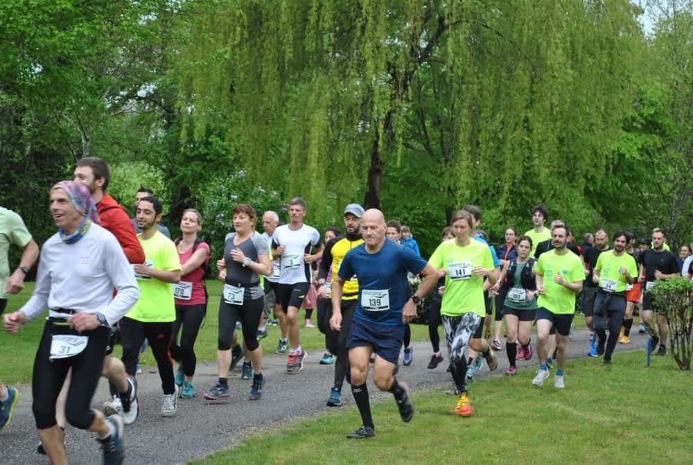 La chatvoyarde - image