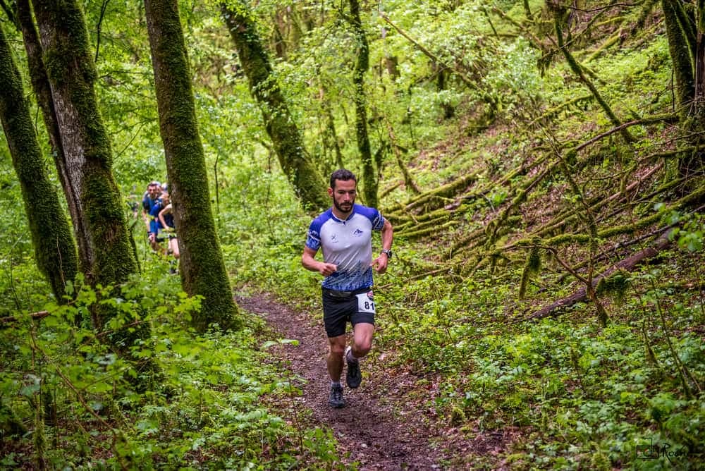 La chatvoyarde - image