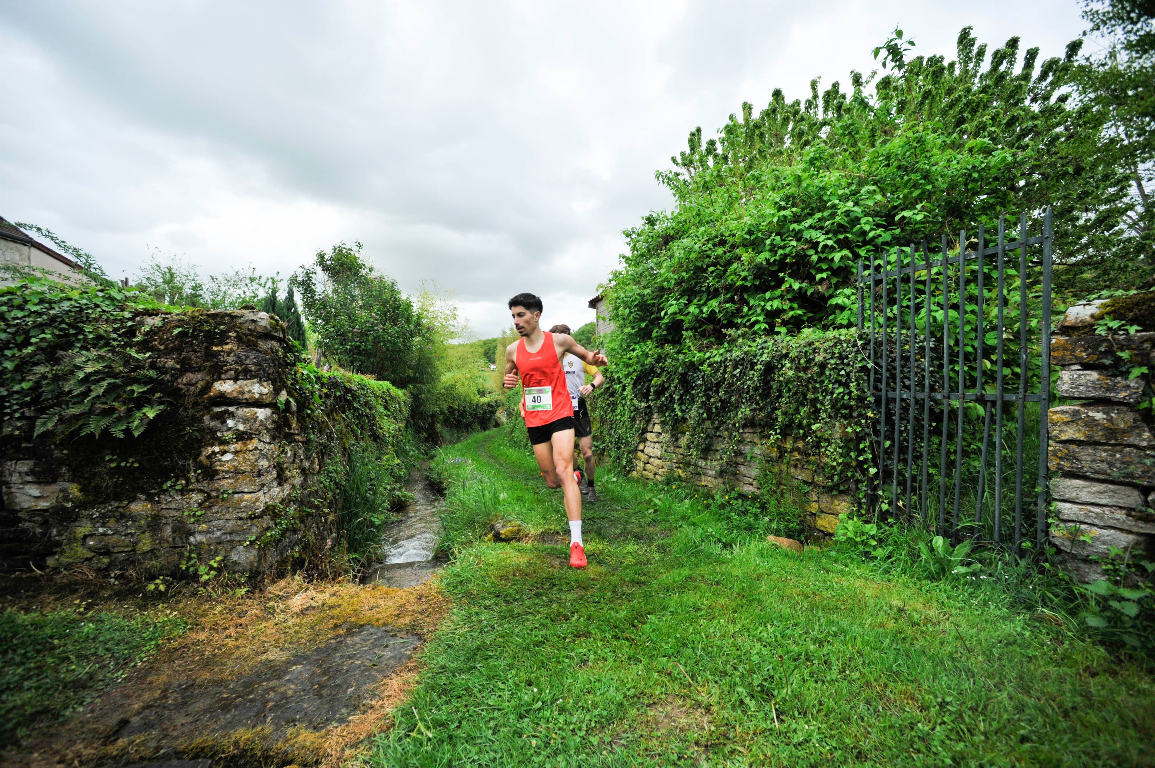 Les cullomètres - image