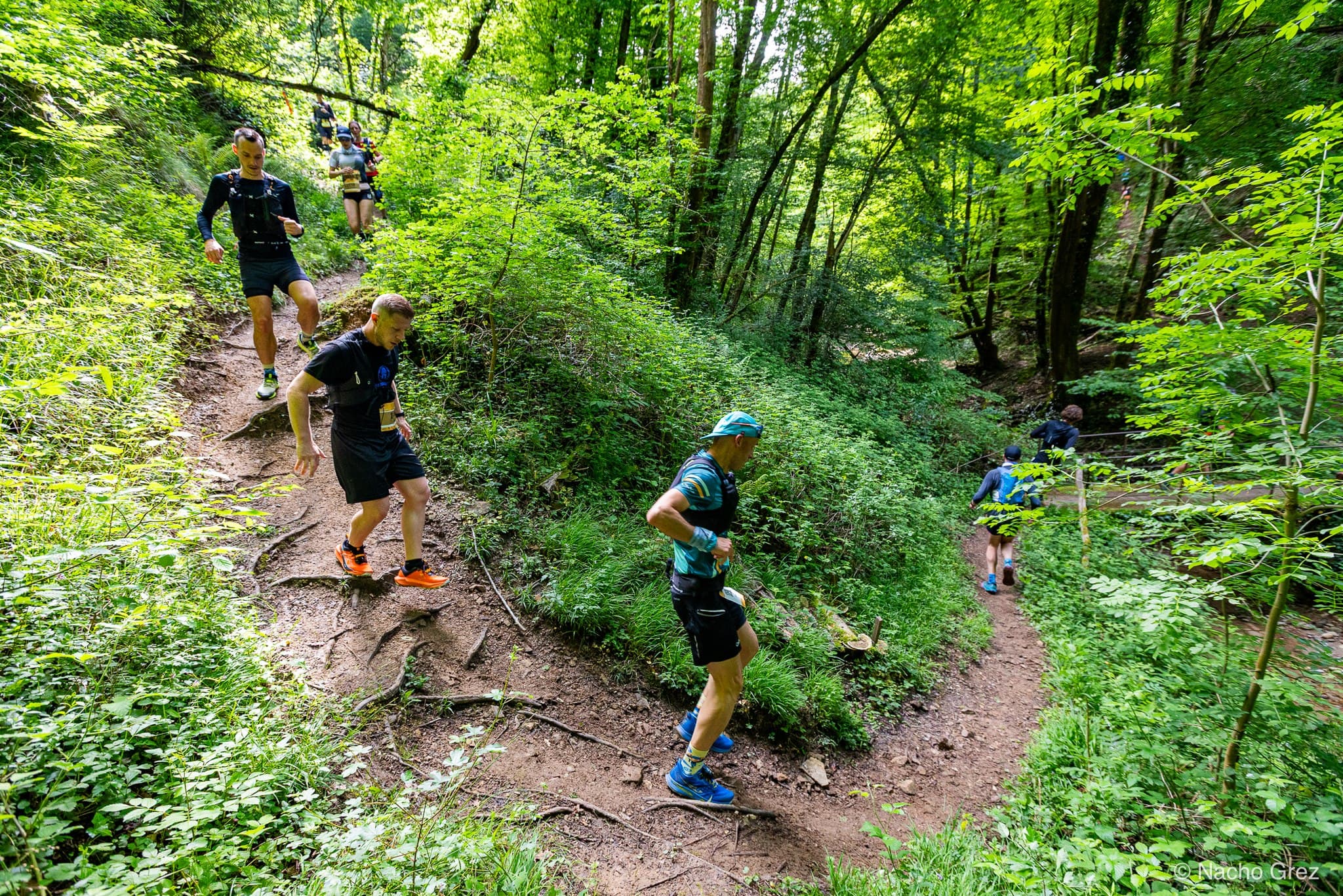 Course de la résistance - image