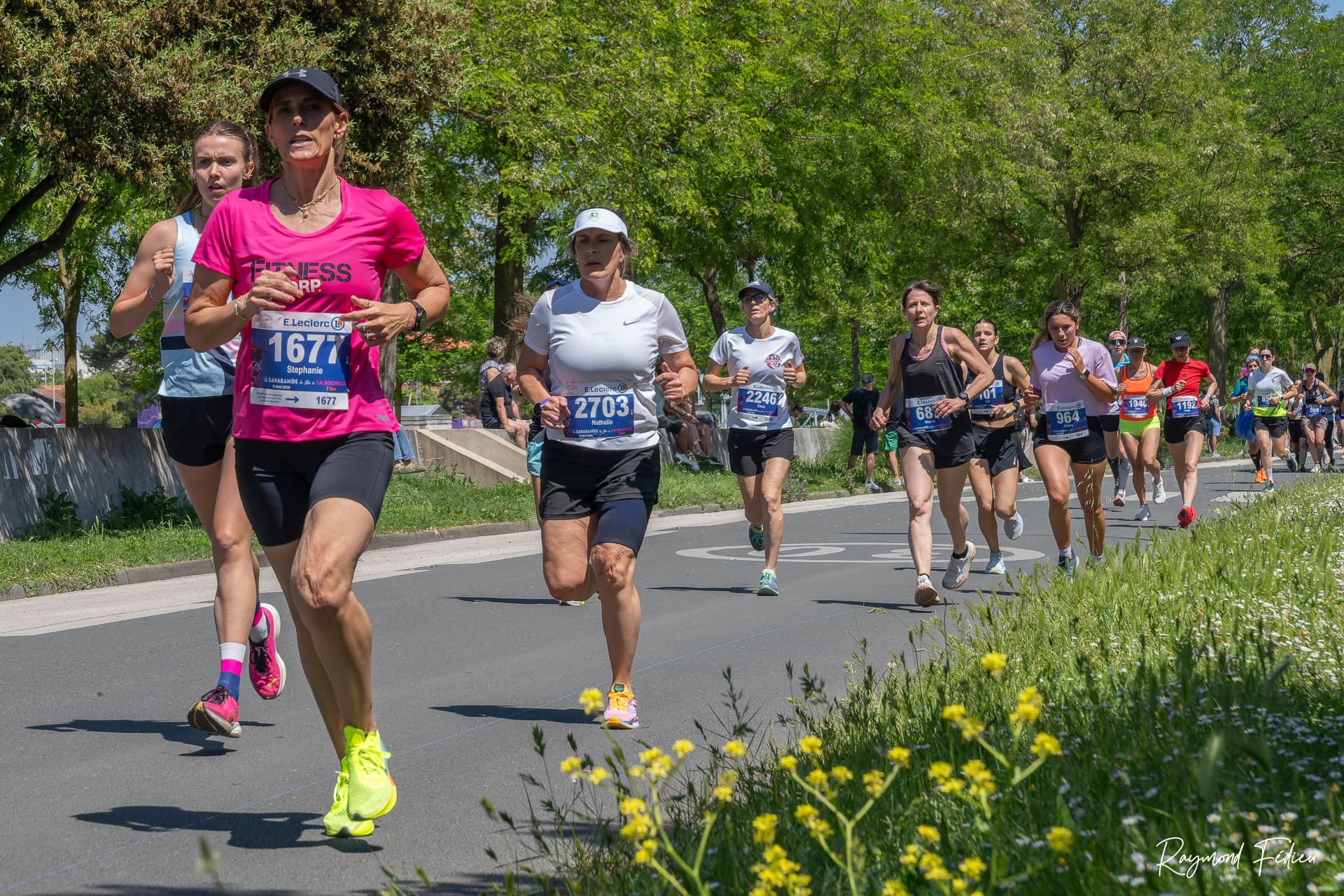 La sarabande des filles de la Rochelle - image