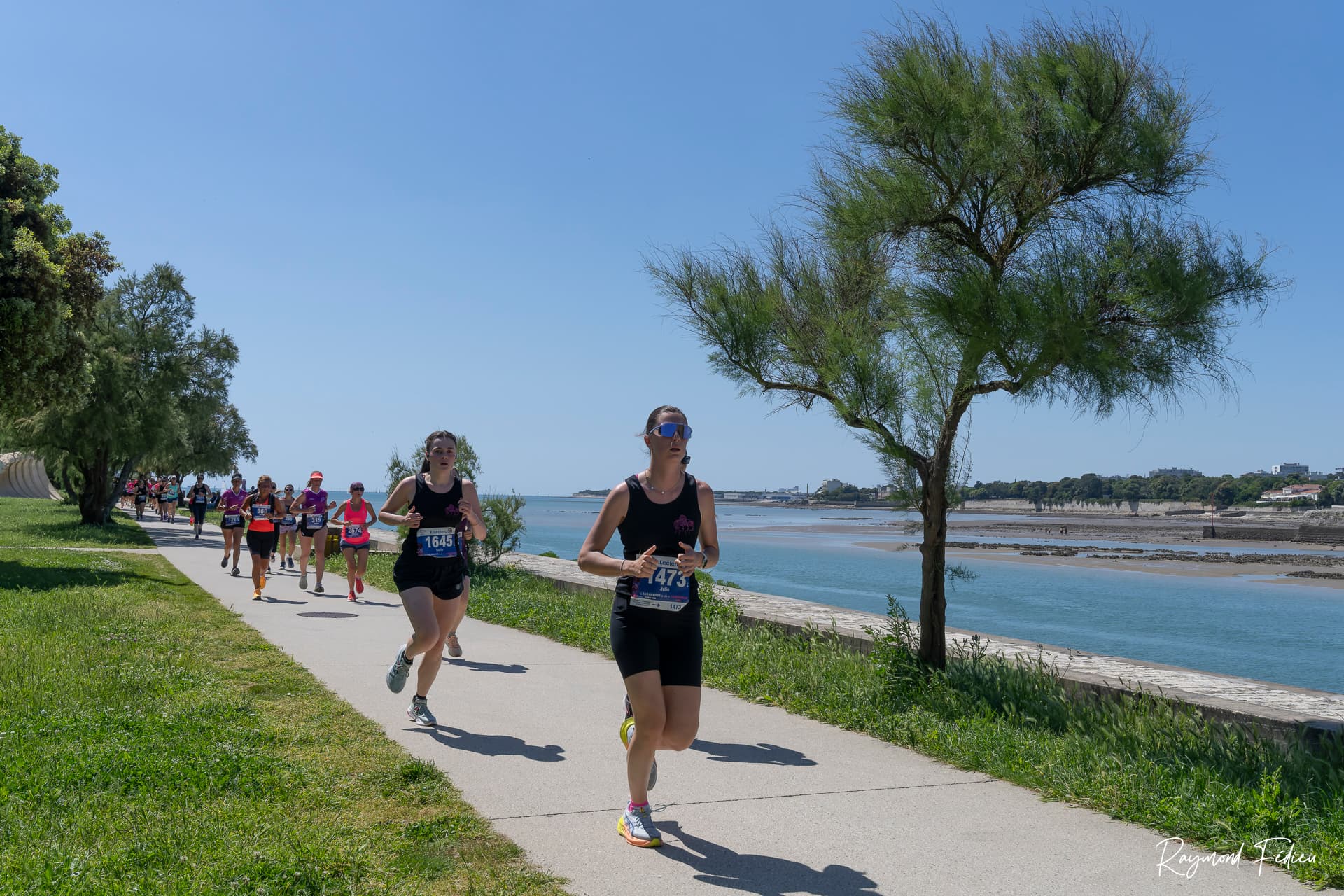 La sarabande des filles de la Rochelle - image