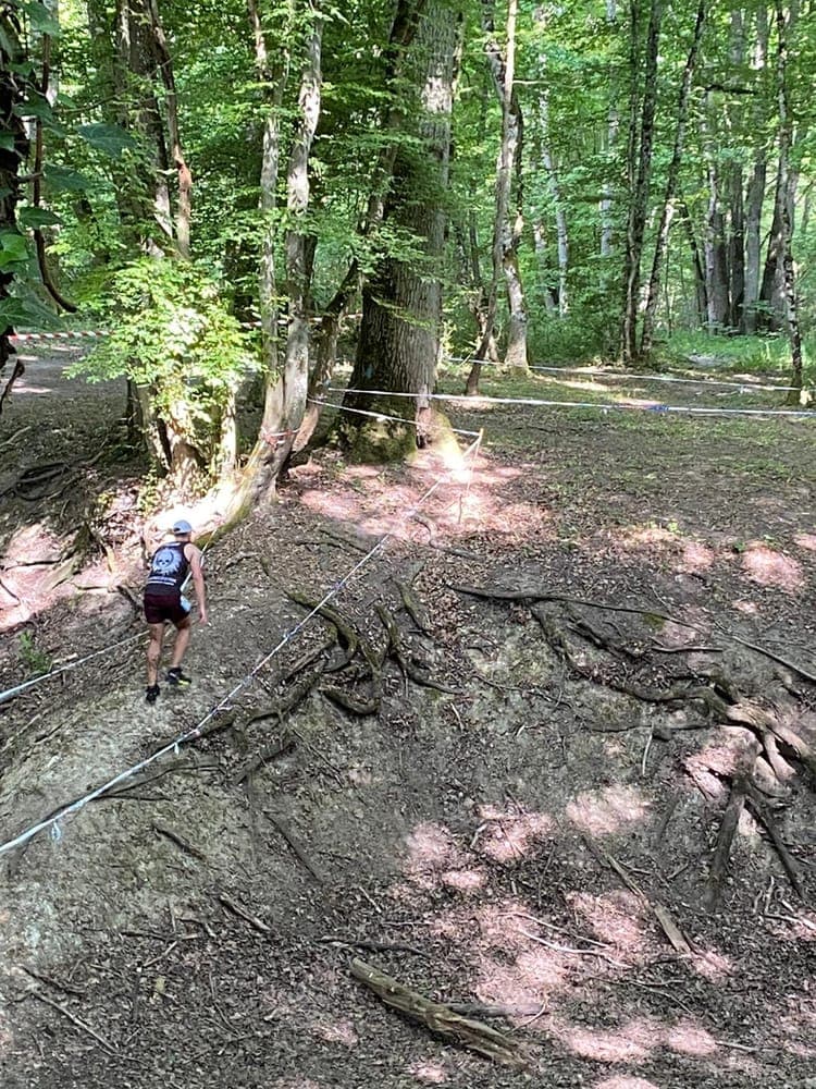 Trail la Cercottoise - image