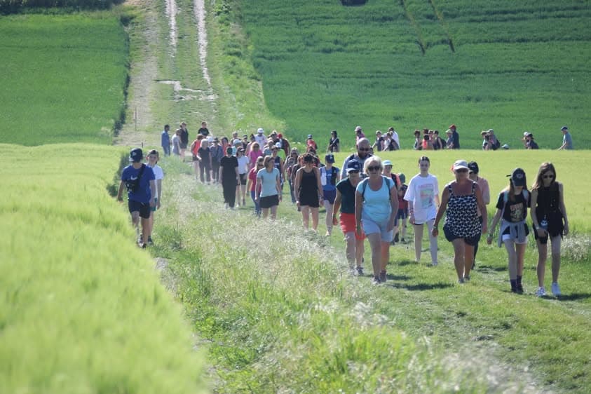 Trail de la vallée du Fion - image 3