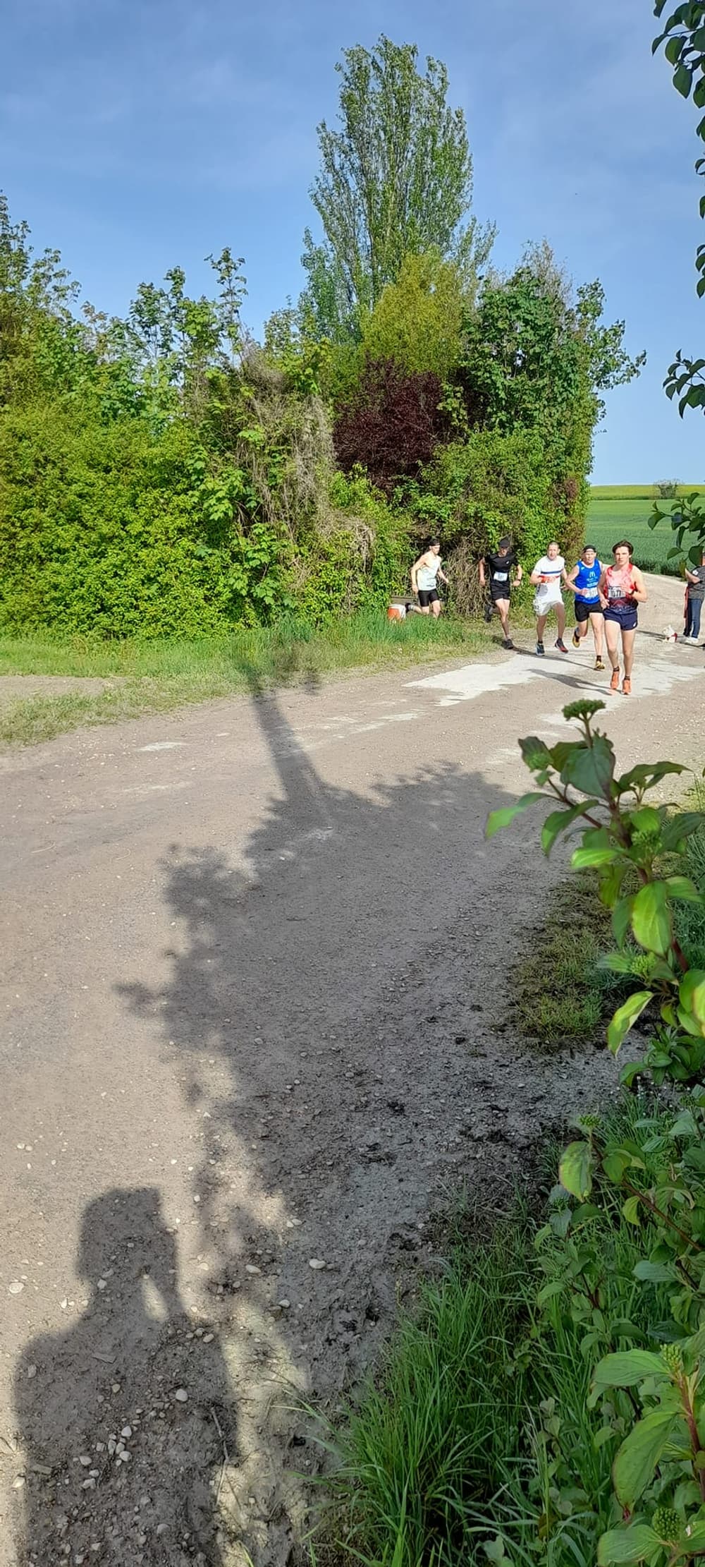 Trail de la vallée du Fion - image