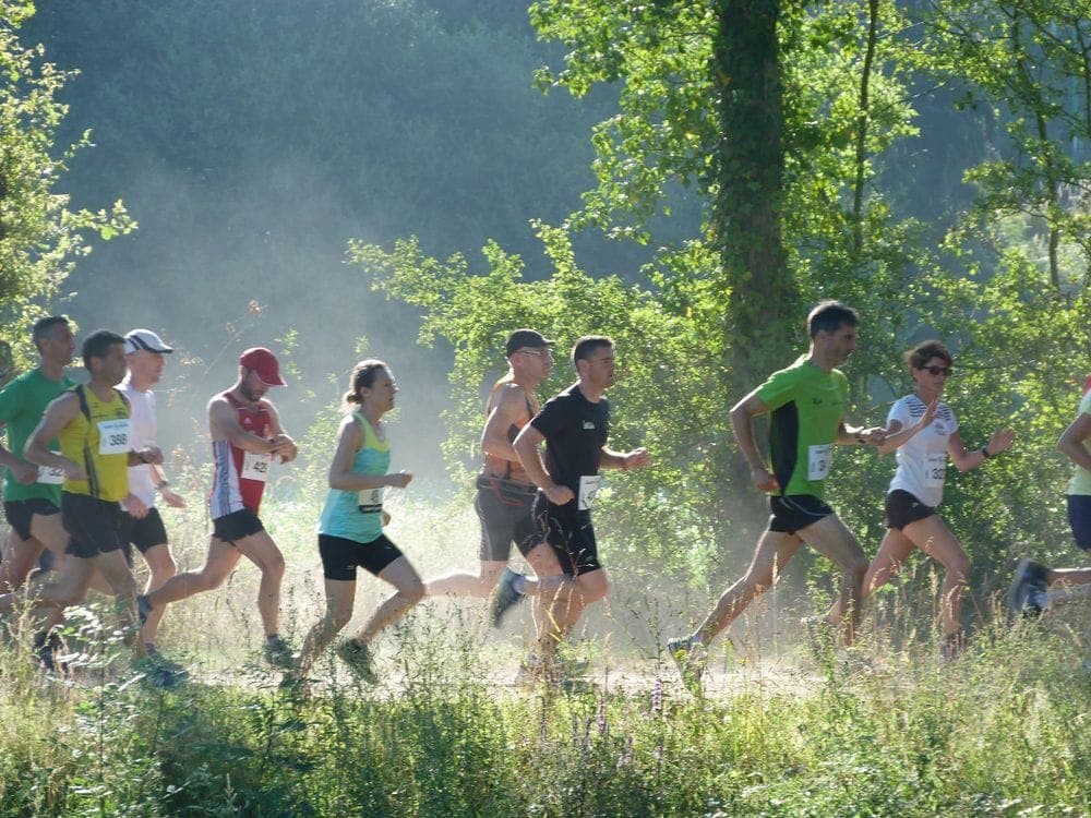 Course nature de l'élan chevaignéen - image