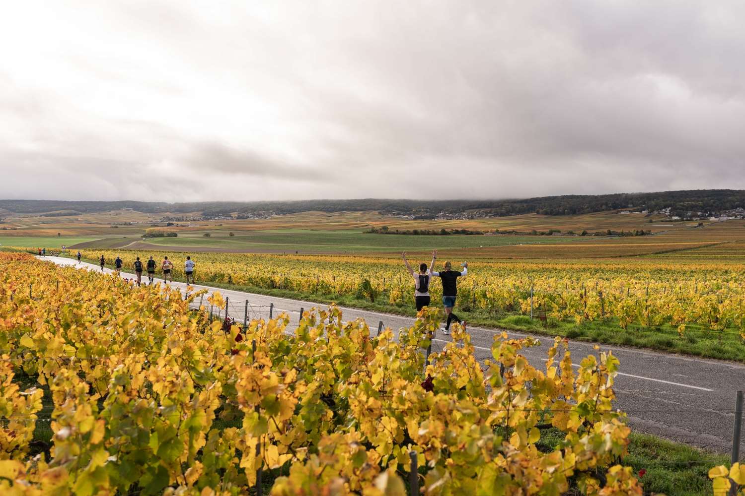 Reims champagne run - image