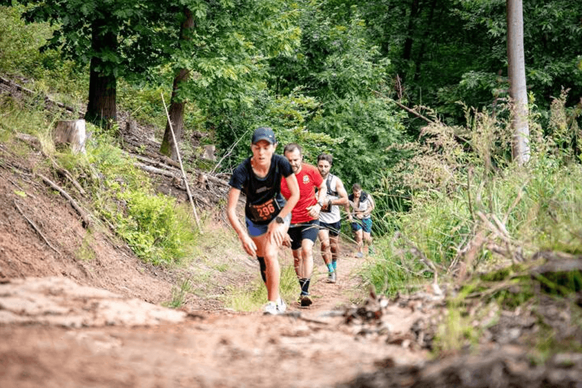 X-wald trail - image