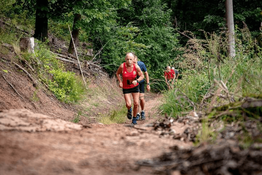 X-wald trail - image