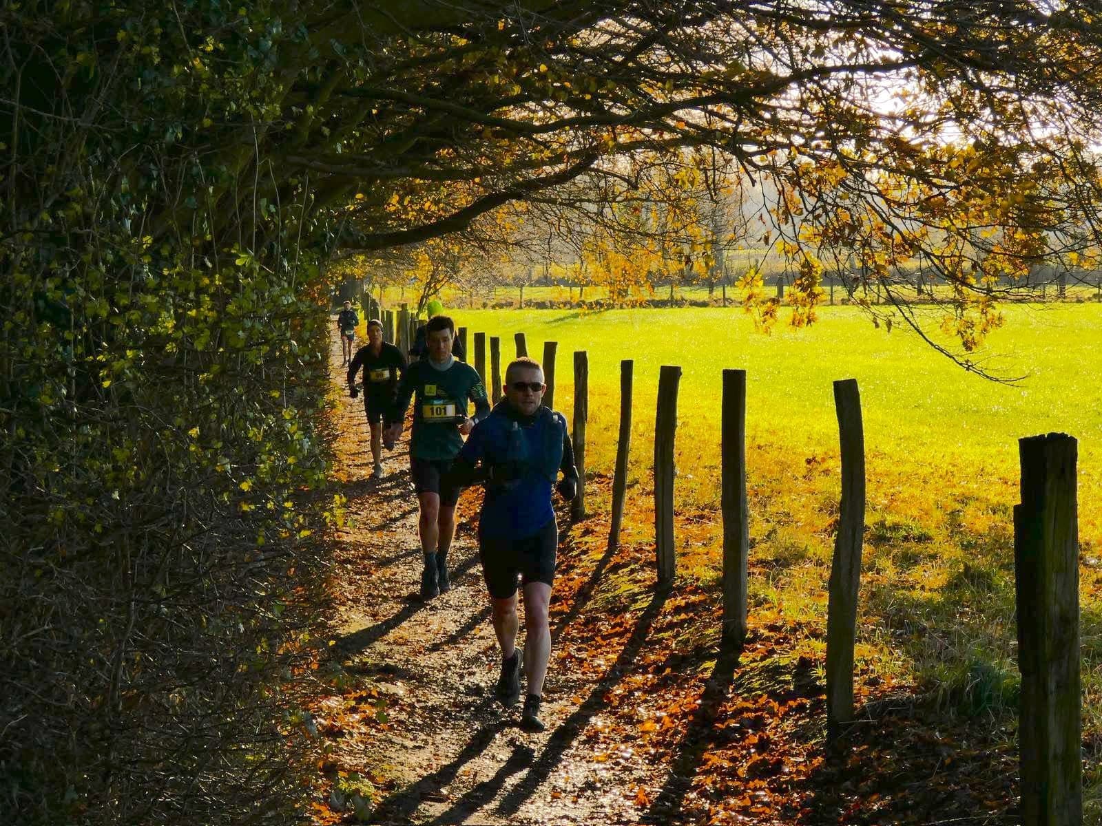 Course nature du Val de Marque - image