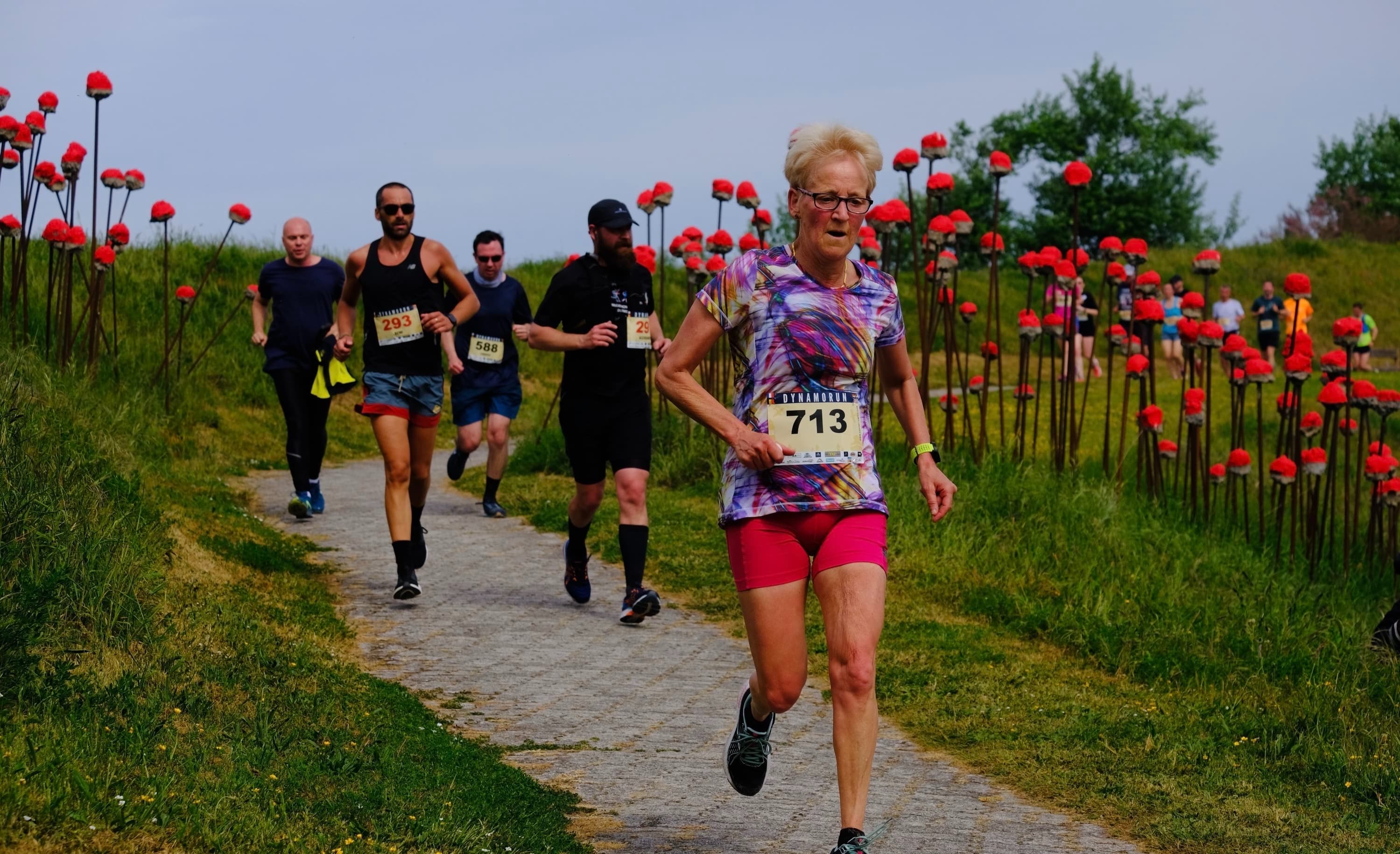 La dynamorun - image