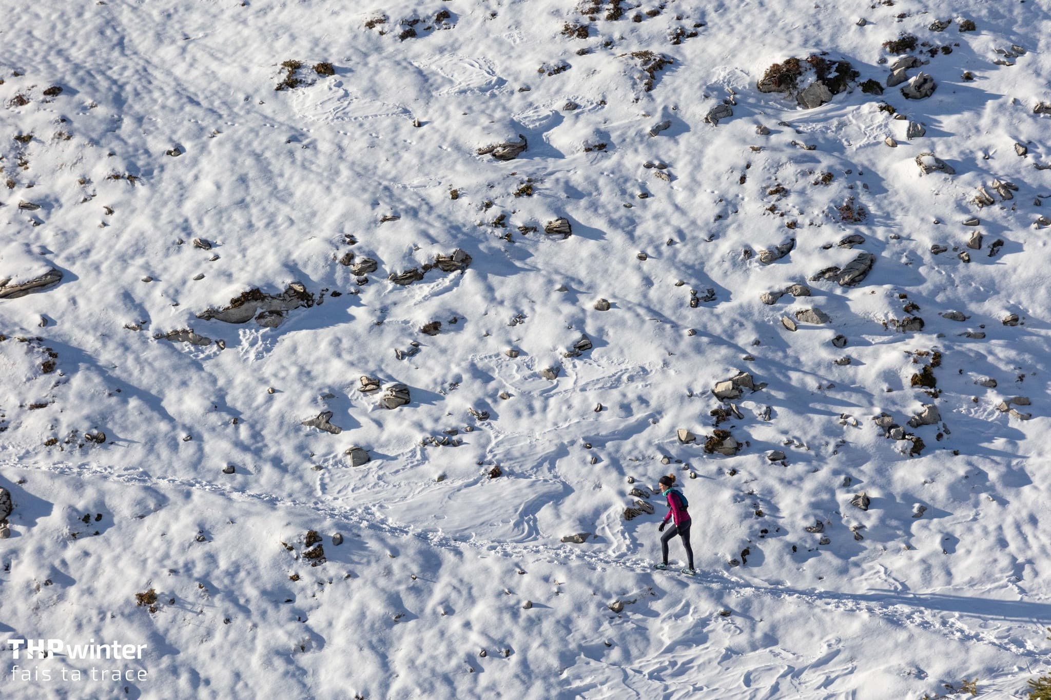 THP winter - image