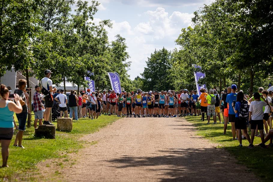 Trail du Mont Dardon - image