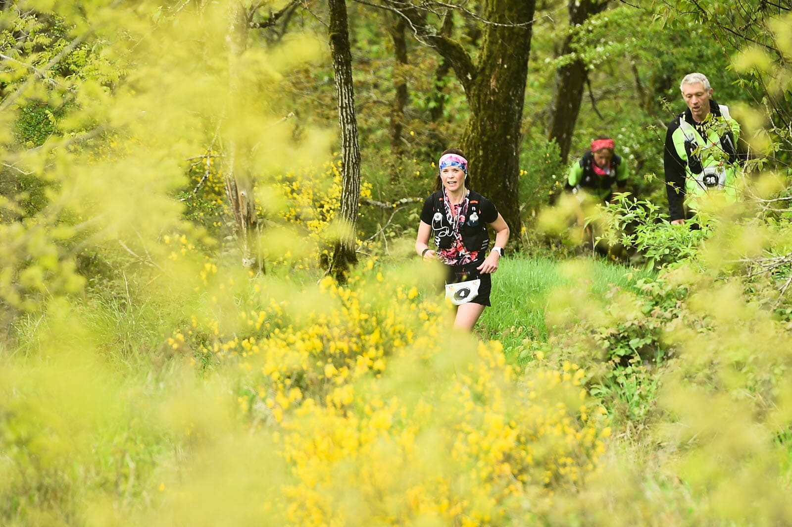 Trail du Mont Dardon - image