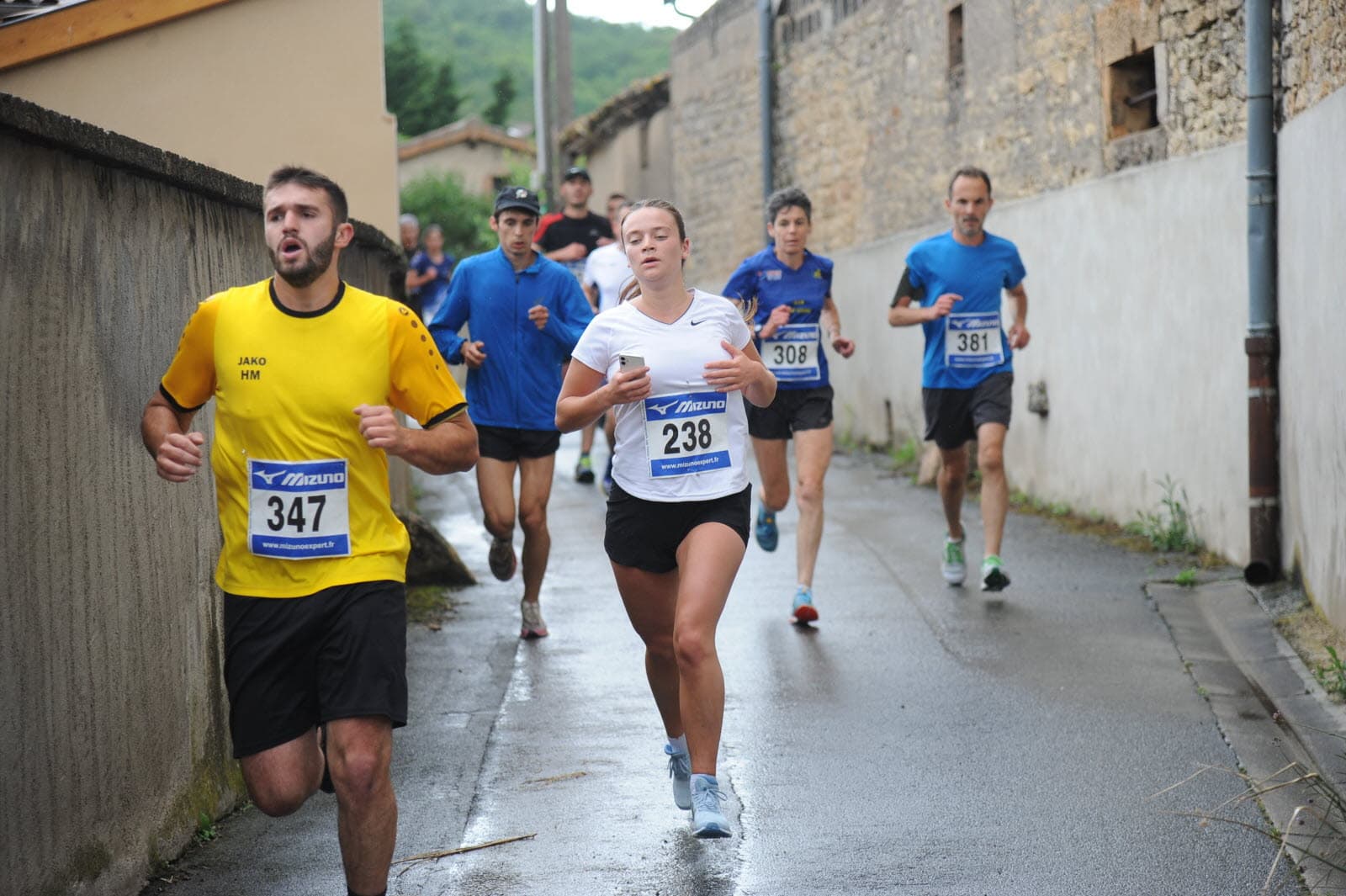 La sancéenne - image