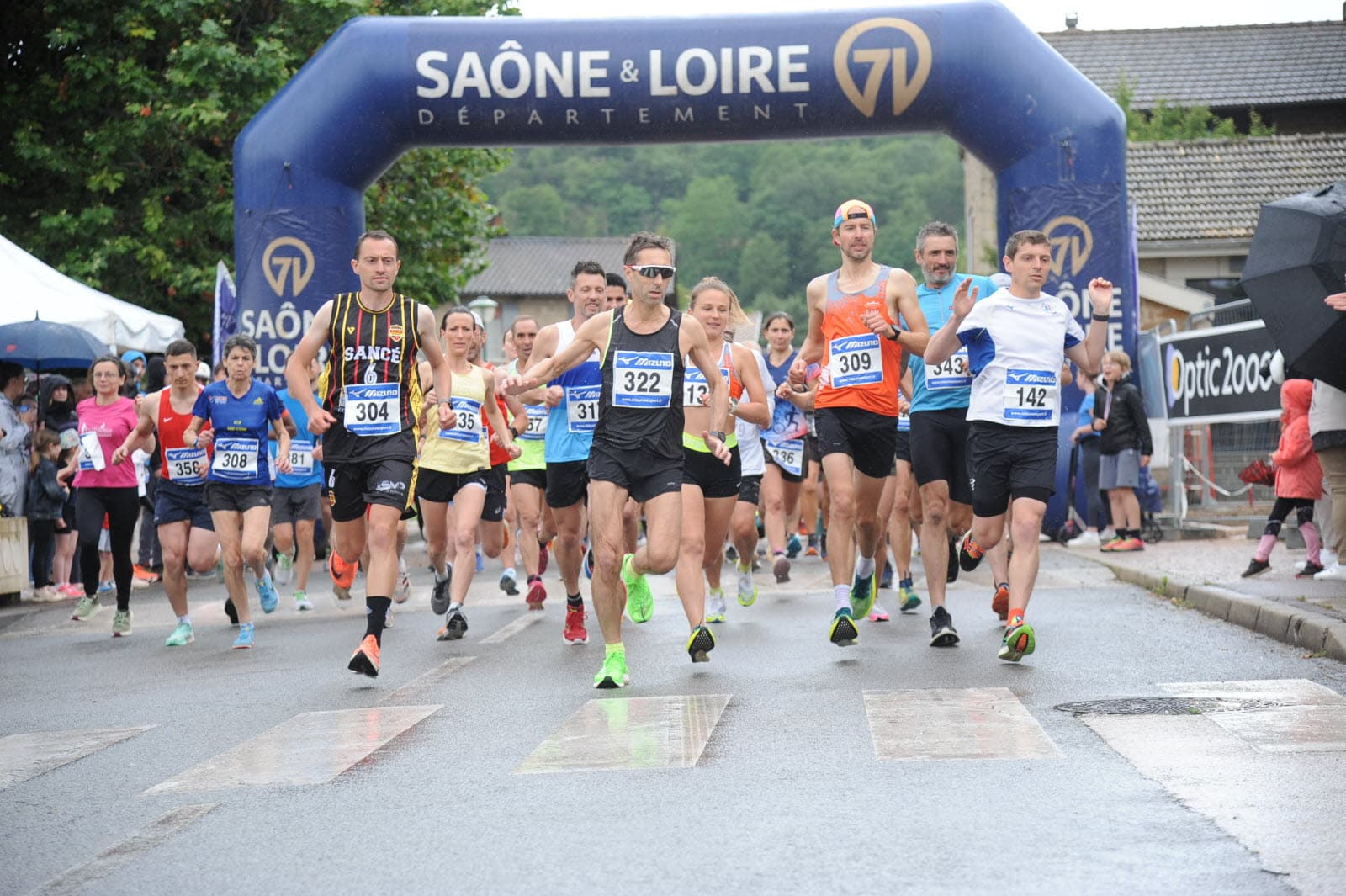 La sancéenne - image