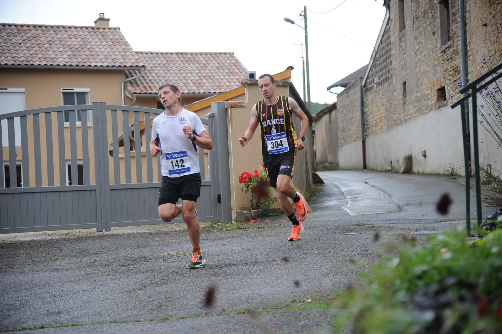 La sancéenne - image