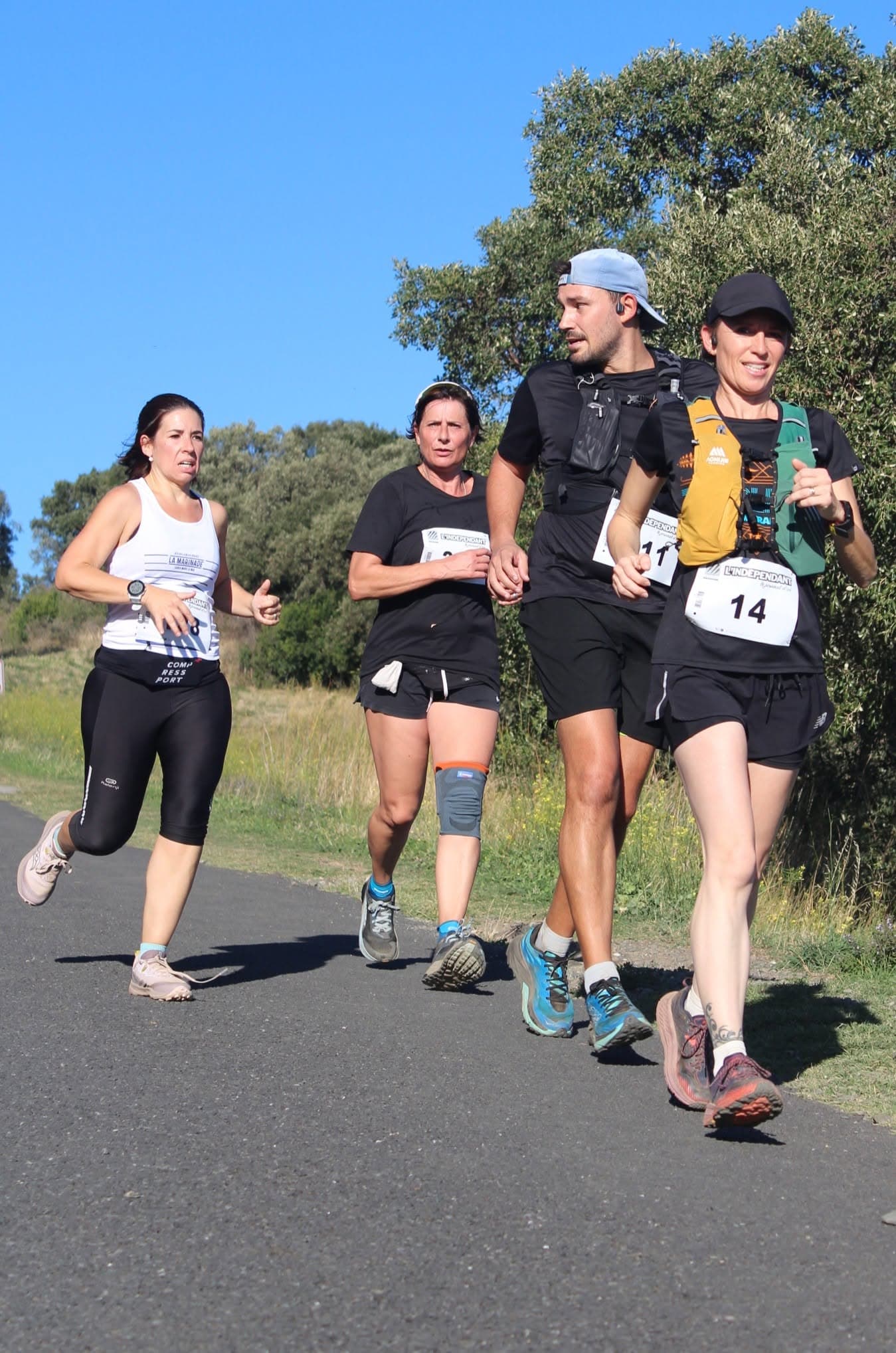 La course des vendanges - image 4