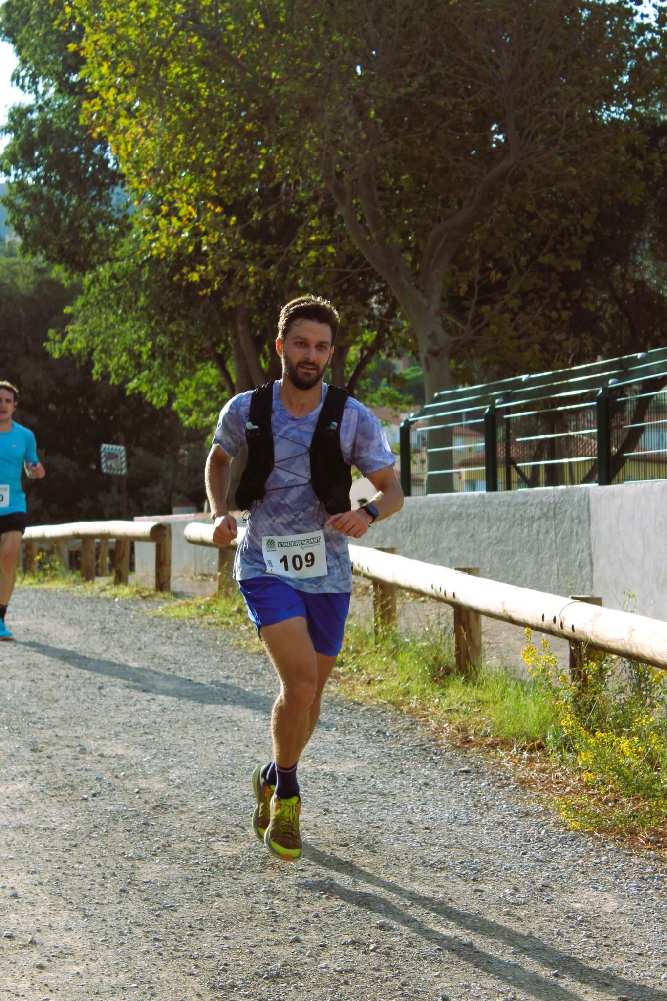 La course des vendanges - image