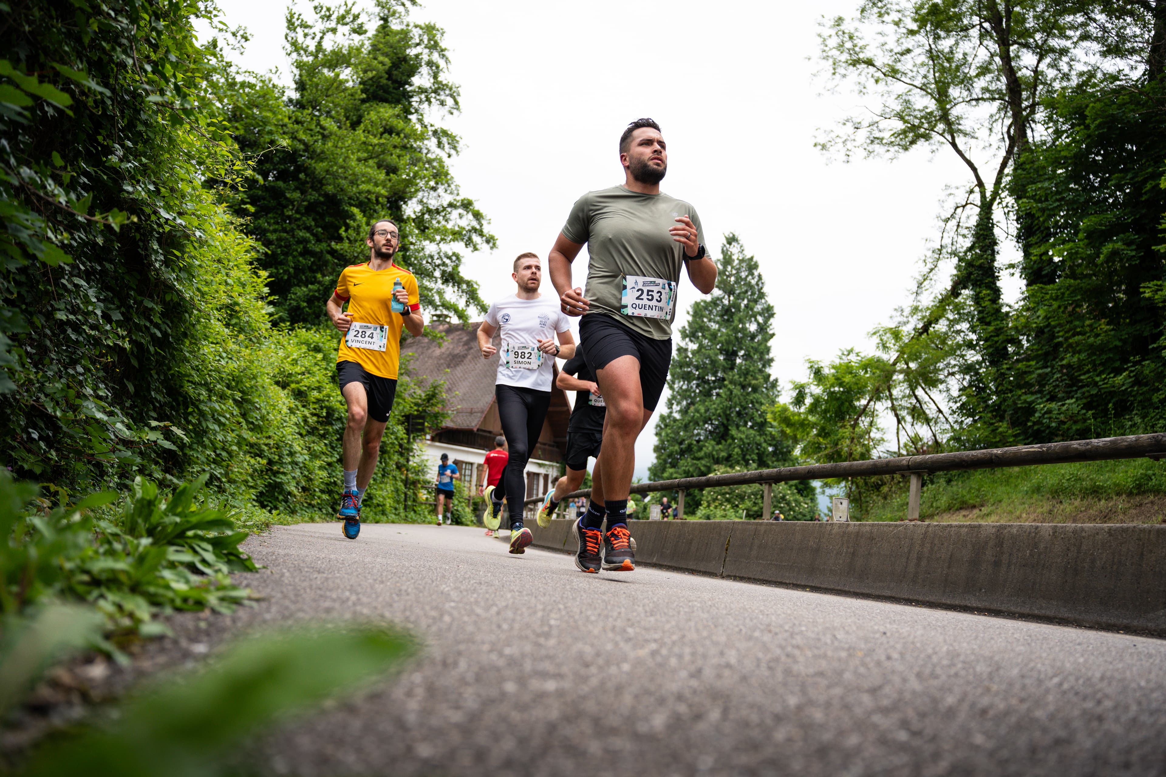 Tour du lac d'Aiguebelette - image